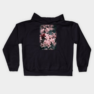 Sakura - Japanese Cherry Tree Blossoms Kids Hoodie